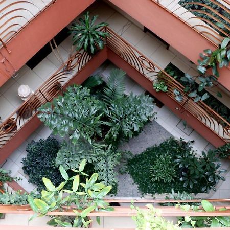 Hotel Martell سان بيدرو سولا المظهر الخارجي الصورة
